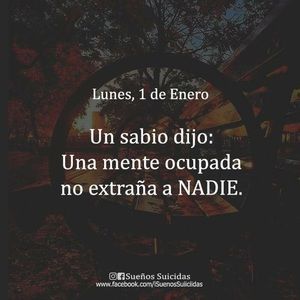 Meet your Posher, Sarai